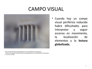 CAMPO VISUAL
• Cuando hay un campo
visual periférico reducido
habrá dificultades para
interpretar y seguir
escenas en movimiento,
la localización de
elementos y la lectura
globalizada.
4
http://upload.wikimedia.org/wikipedia/commons/d/d5/Retinitis_Pigmentosa-
_tunnel_vision.jpghttp://upload.wikimedia.org/wikipedia/commons/d/d5/Retinitis_Pigmentos
a-_tunnel_vision.jpg
 