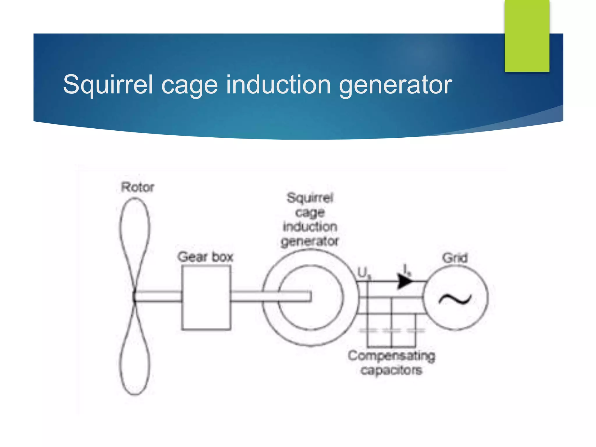 Squirrel cage induction generator
 
