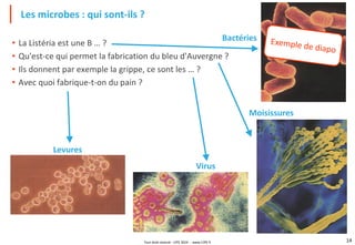 Tout droit réservé - CIPE 2024 - www.CIPE.fr 14
• La Listéria est une B … ?
• Qu'est-ce qui permet la fabrication du bleu d'Auvergne ?
• Ils donnent par exemple la grippe, ce sont les … ?
• Avec quoi fabrique-t-on du pain ?
Les microbes : qui sont-ils ?
Bactéries
Virus
Moisissures
Levures
 