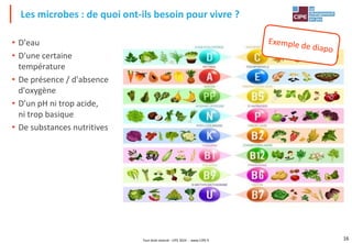 Tout droit réservé - CIPE 2024 - www.CIPE.fr 16
• D'eau
• D'une certaine
température
• De présence / d'absence
d'oxygène
• D'un pH ni trop acide,
ni trop basique
• De substances nutritives
Les microbes : de quoi ont-ils besoin pour vivre ?
 