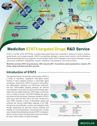 Medicilon STAT3-targeted Drugs R&D Service
MEDICILON
STAT3, a member of the STAT family, is a latent transcription factor that is activated in response to various cytokines,
growth factors, and oncogene signals. STAT3 is constitutively activated in various human cancers, and its activation is
frequently associated with poor prognosis. As a transcription factor, STAT3 regulates a set of genes implicated in cancer
cell survival, proliferation, angiogenesis, invasion, metastasis, drug resistance, and immune evasion.
Medicilon provides STAT3 drug discovery, CMC research (API + formulation), pharmacodynamics research, PK
study, safety evaluation and other services.
Introduction of STAT3
The signal transducer and activator of transcription (STAT) is
a family of intracellular cytoplasmic transcription factors
involved in many biological functions in mammalian signal
transduction. Among them, STAT3 is involved in cell prolifera-
tion, differentiation, apoptosis, and inflammatory responses,
and also STAT3-related signaling pathways are aberrant
over-activated in many types of cancer and are strongly asso-
ciated with poor patient prognosis. STAT3 plays a pro-cancer
role in a variety of cancers, and STAT3 inhibitors are used in
pre-clinical and clinical studies. Excessive activation of STAT3
within tumor cells and other cells in the tumor microenviron-
ment (TME) mediates a series of extracellular signals that
enhances the immune inflammatory response in the TME,
driving tumor cell proliferation, invasion, and metastasis, while
strongly suppressing the anti-tumor immune response and
creating an immunosuppressive microenvironment. Studies
have indicated that persistently activated STAT3 is indispens-
able for various cancers including breast cancer and colorec-
tal cancer, which makes it an ideal drug target.
STAT3 signaling and effect in cancer[1]
 