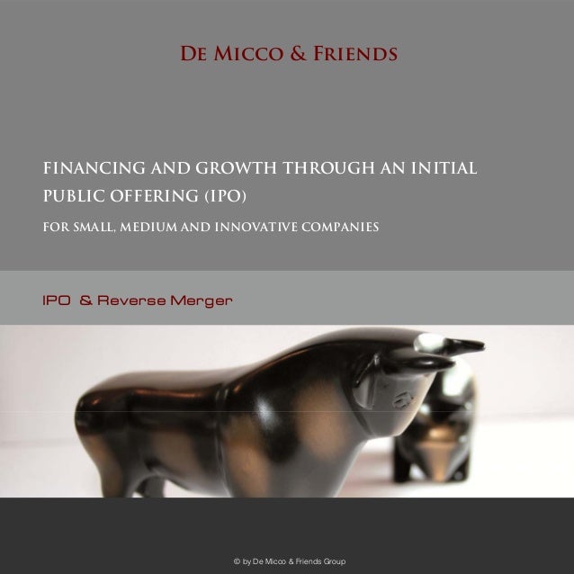 Reverse merger or ipo