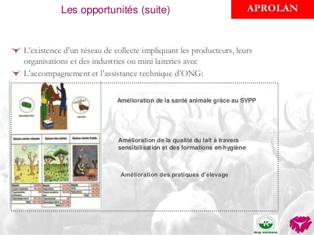 Défis et opportunités pour la petite production laitière en zone périu2026