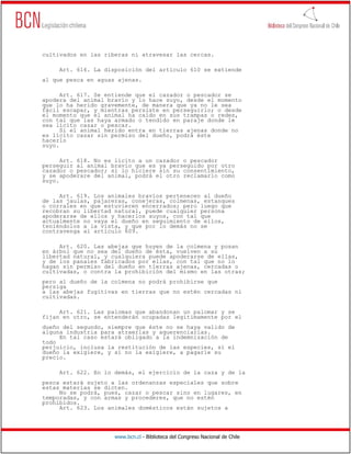 cultivados en las riberas ni atravesar las cercas.

     Art. 616. La disposición del artículo 610 se extiende
al que pesca en aguas ajenas.

      Art. 617. Se entiende que el cazador o pescador se
apodera del animal bravío y lo hace suyo, desde el momento
que lo ha herido gravemente, de manera que ya no le sea
fácil escapar, y mientras persiste en perseguirlo; o desde
el momento que el animal ha caído en sus trampas o redes,
con tal que las haya armado o tendido en paraje donde le
sea lícito cazar o pescar.
      Si el animal herido entra en tierras ajenas donde no
es lícito cazar sin permiso del dueño, podrá éste
hacerlo
suyo.

      Art. 618. No es lícito a un cazador o pescador
perseguir al animal bravío que es ya perseguido por otro
cazador o pescador; si lo hiciere sin su consentimiento,
y se apoderare del animal, podrá el otro reclamarlo como
suyo.

     Art. 619. Los animales bravíos pertenecen al dueño
de las jaulas, pajareras, conejeras, colmenas, estanques
o corrales en que estuvieren encerrados; pero luego que
recobran su libertad natural, puede cualquier persona
apoderarse de ellos y hacerlos suyos, con tal que
actualmente no vaya el dueño en seguimiento de ellos,
teniéndolos a la vista, y que por lo demás no se
contravenga al artículo 609.

     Art. 620. Las abejas que huyen de la colmena y posan
en árbol que no sea del dueño de ésta, vuelven a su
libertad natural, y cualquiera puede apoderarse de ellas,
y de los panales fabricados por ellas, con tal que no lo
hagan sin permiso del dueño en tierras ajenas, cercadas o
cultivadas, o contra la prohibición del mismo en las otras;
pero al dueño de la colmena no podrá prohibirse que
persiga
a las abejas fugitivas en tierras que no estén cercadas ni
cultivadas.

     Art. 621. Las palomas que abandonan un palomar y se
fijan en otro, se entenderán ocupadas legítimamente por el
dueño del segundo, siempre que éste no se haya valido de
alguna industria para atraerlas y aquerenciarlas.
     En tal caso estará obligado a la indemnización de
todo
perjuicio, inclusa la restitución de las especies, si el
dueño la exigiere, y si no la exigiere, a pagarle su
precio.

     Art. 622. En lo demás, el ejercicio de la caza y de la
pesca estará sujeto a las ordenanzas especiales que sobre
estas materias se dicten.
     No se podrá, pues, cazar o pescar sino en lugares, en
temporadas, y con armas y procederes, que no estén
prohibidos.
     Art. 623. Los animales domésticos están sujetos a




                     www.bcn.cl - Biblioteca del Congreso Nacional de Chile
 