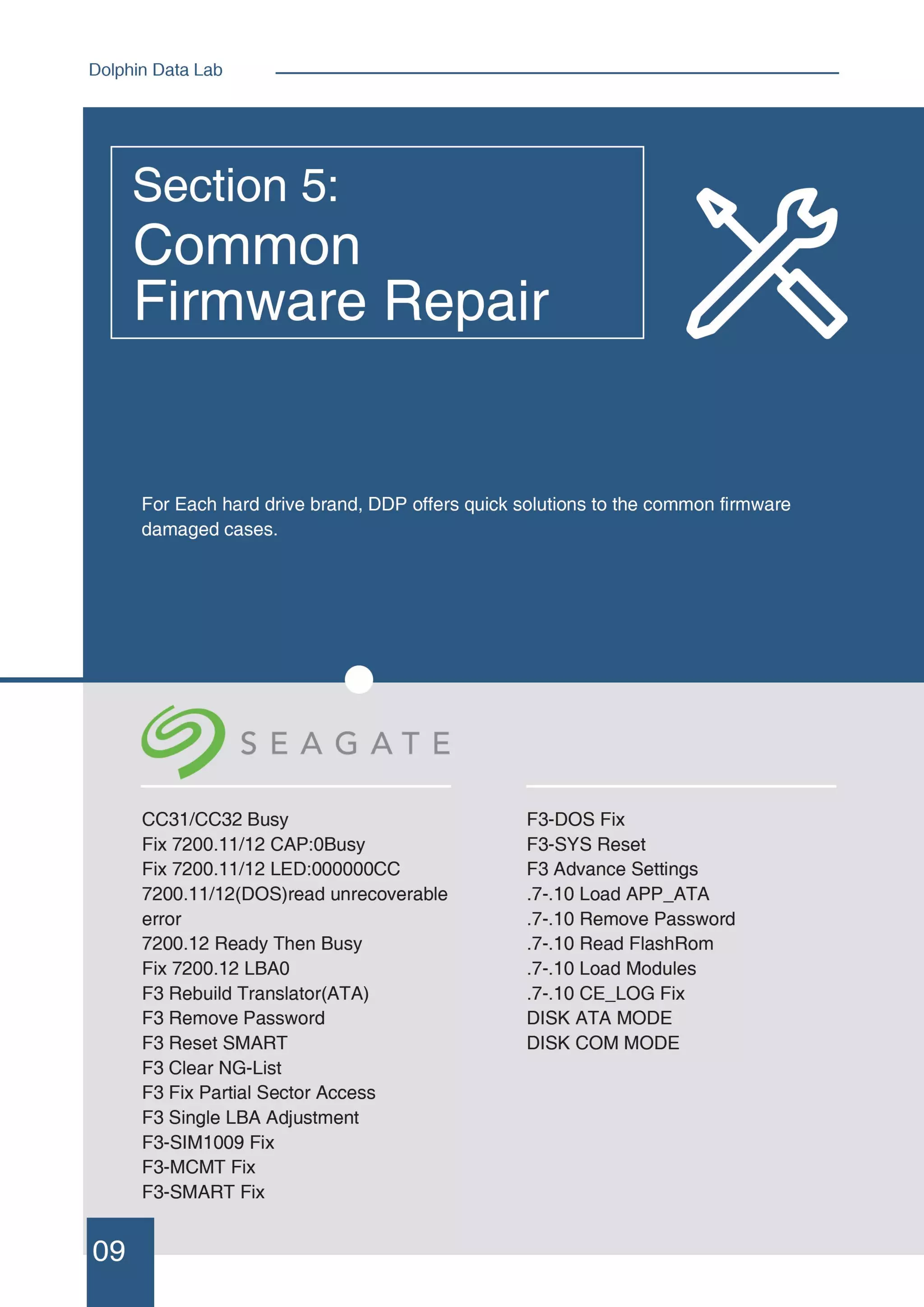Dfl ddp data recovery datasheet