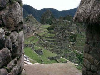 Df Los Incas