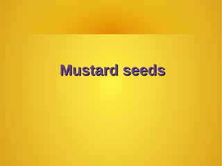 Mustard seedsMustard seeds
 