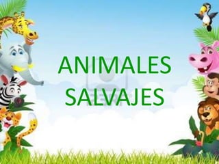 ANIMALES
SALVAJES

 