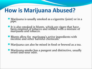 How is Marijuana Abused?
Marijuana is usually smoked as a cigarette (joint) or in a
pipe.
It is also smoked in blunts, which are cigars that have
been emptied of tobacco and refilled with a mixture of
marijuana and tobacco.
Blunts allow for marijuana's active ingredients with
nicotine and other harmful chemicals.
Marijuana can also be mixed in food or brewed as a tea.
Marijuana smoke has a pungent and distinctive, usually
sweet-and-sour odor.
 