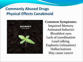 Commonly Abused Drugs
Physical Effects Canabinoid
Common Symptoms:
Impaired Memory
Animated behavior
Bloodshot eyes
Lack of coordination
Loud talking
Euphoria (relaxation)
Hallucinations
May cause cancer
 