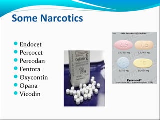 Some Narcotics
Endocet
Percocet
Percodan
Fentora
Oxycontin
Opana
Vicodin
 