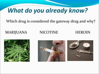 What do you already know?
Which drug is considered the gateway drug and why?
MARIJUANA NICOTINE HEROIN
 