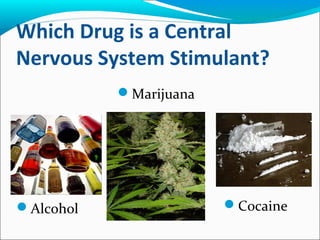 Which Drug is a Central
Nervous System Stimulant?
Alcohol
Marijuana
Cocaine
 