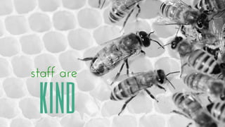 Everything Counts in Small Amounts - Natalie May at DFTB17