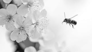 Everything Counts in Small Amounts - Natalie May at DFTB17