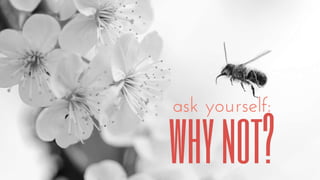 Everything Counts in Small Amounts - Natalie May at DFTB17