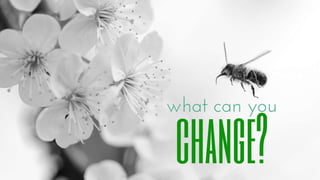 Everything Counts in Small Amounts - Natalie May at DFTB17