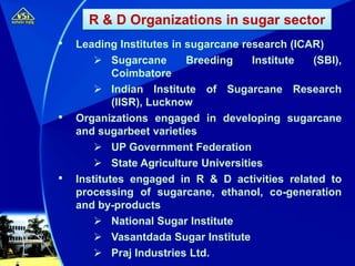 • Leading Institutes in sugarcane research (ICAR)
 Sugarcane Breeding Institute (SBI),
Coimbatore
 Indian Institute of Sugarcane Research
(IISR), Lucknow
• Organizations engaged in developing sugarcane
and sugarbeet varieties
 UP Government Federation
 State Agriculture Universities
• Institutes engaged in R & D activities related to
processing of sugarcane, ethanol, co-generation
and by-products
 National Sugar Institute
 Vasantdada Sugar Institute
 Praj Industries Ltd.
R & D Organizations in sugar sector
 