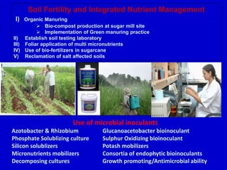 Soil Fertility and Integrated Nutrient Management
I) Organic Manuring
 Bio-compost production at sugar mill site
 Implementation of Green manuring practice
II) Establish soil testing laboratory
III) Foliar application of multi micronutrients
IV) Use of bio-fertilizers in sugarcane
V) Reclamation of salt affected soils
Use of microbial inoculants
Azotobacter & Rhizobium Glucanoacetobacter bioinoculant
Phosphate Solublizing culture Sulphur Oxidizing bioinoculant
Silicon solublizers Potash mobilizers
Micronutrients mobilizers Consortia of endophytic bioinoculants
Decomposing cultures Growth promoting/Antimicrobial ability
 