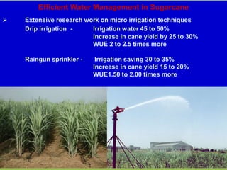 Efficient Water Management in Sugarcane
 Extensive research work on micro irrigation techniques
Drip irrigation - Irrigation water 45 to 50%
Increase in cane yield by 25 to 30%
WUE 2 to 2.5 times more
Raingun sprinkler - Irrigation saving 30 to 35%
Increase in cane yield 15 to 20%
WUE1.50 to 2.00 times more
 