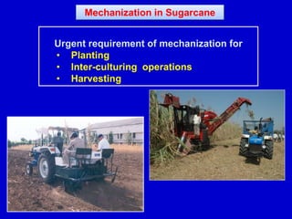 Urgent requirement of mechanization for
• Planting
• Inter-culturing operations
• Harvesting
Mechanization in Sugarcane
 