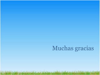 Muchas gracias
