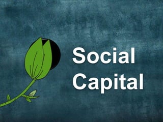 Social
Capital
D
 