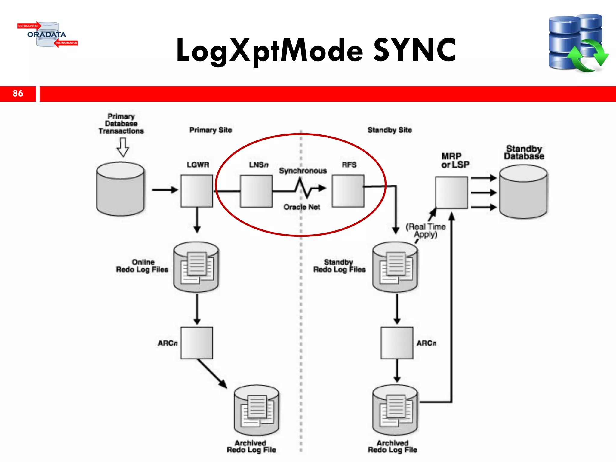 LogXptMode SYNC
86
 