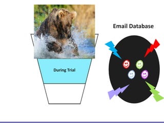 Automated Nurture
During Trial
Email Database
 