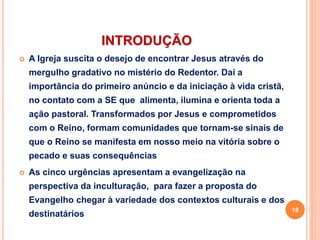 INTRODUÇÃO
 A Igreja suscita o desejo de encontrar Jesus através do
mergulho gradativo no mistério do Redentor. Daí a
importância do primeiro anúncio e da iniciação à vida cristã,
no contato com a SE que alimenta, ilumina e orienta toda a
ação pastoral. Transformados por Jesus e comprometidos
com o Reino, formam comunidades que tornam-se sinais de
que o Reino se manifesta em nosso meio na vitória sobre o
pecado e suas consequências
 As cinco urgências apresentam a evangelização na
perspectiva da inculturação, para fazer a proposta do
Evangelho chegar à variedade dos contextos culturais e dos
destinatários
18
 