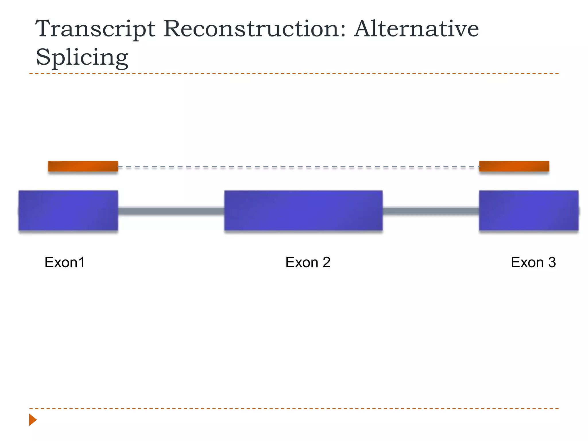 Transcript Reconstruction: Alternative
Splicing




Exon1                Exon 2              Exon 3
 
