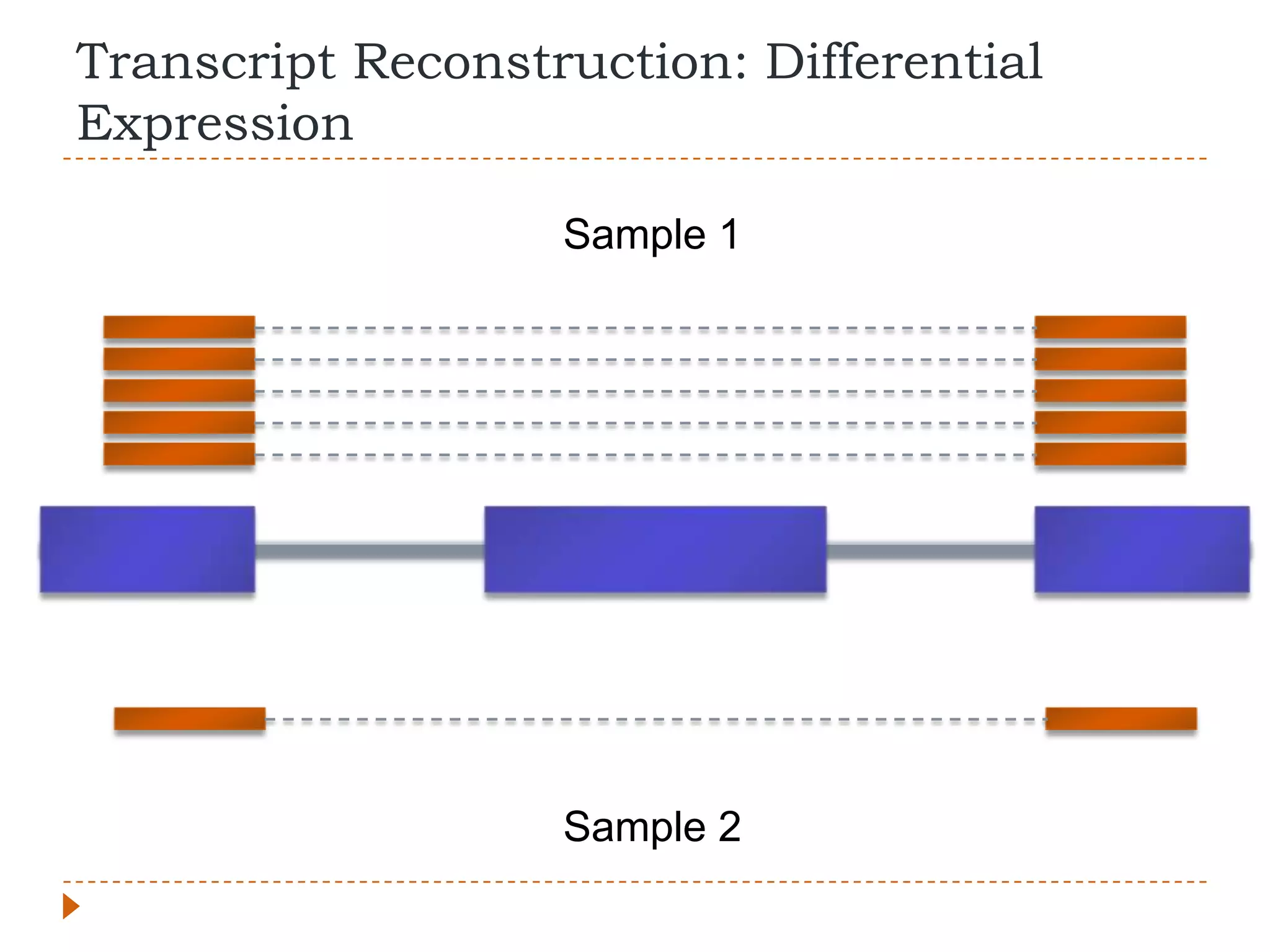 Transcript Reconstruction: Differential
Expression

                   Sample 1




                   Sample 2
 