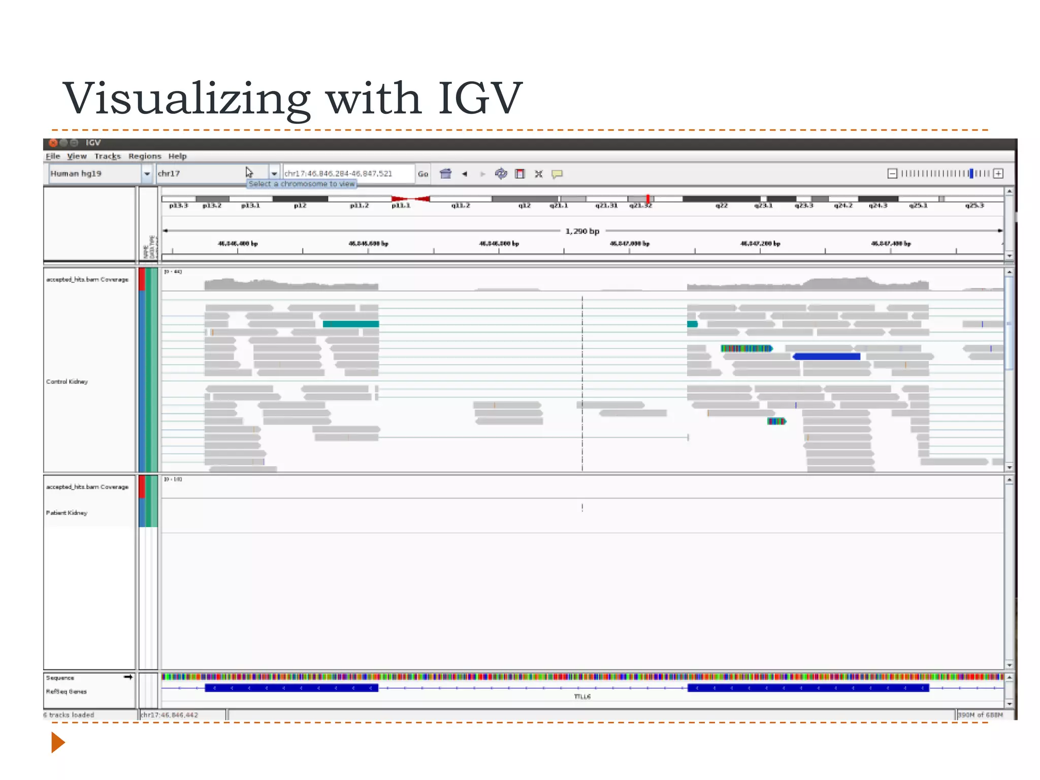 Visualizing with IGV
 