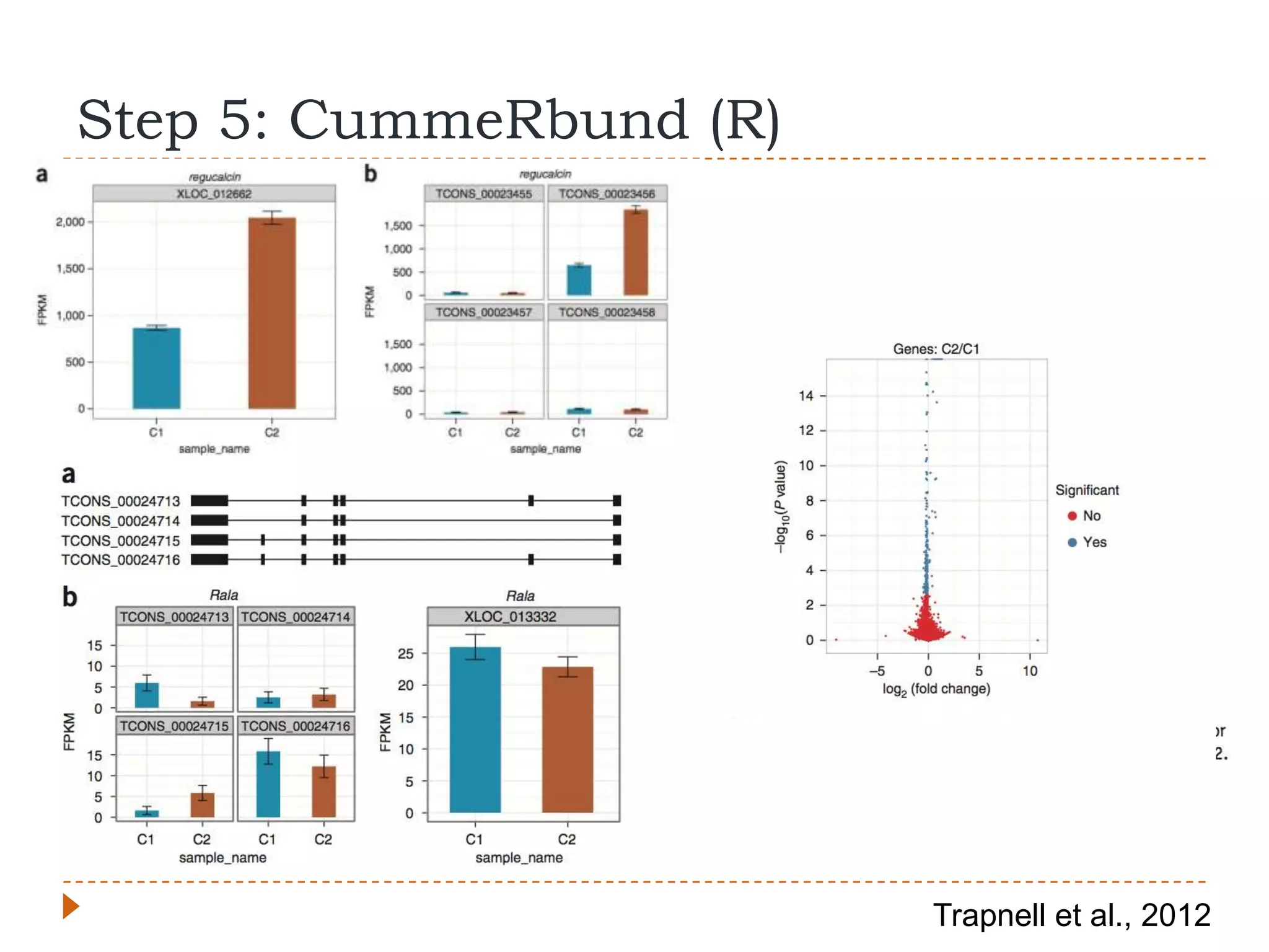 Step 5: CummeRbund (R)




                         Trapnell et al., 2012
 