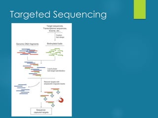 Targeted Sequencing
 