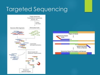 Targeted Sequencing
 