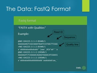 The Data: FastQ Format
Read ID
Sequence
Quality line
 