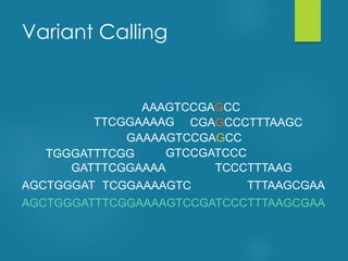 Variant Calling
AGCTGGGATTTCGGAAAAGTCCGATCCCTTTAAGCGAA
AGCTGGGAT
GATTTCGGAAAA
TCGGAAAAGTC TTTAAGCGAA
TCCCTTTAAG
GTCCGATCCC
GAAAAGTCCGAGCC
TGGGATTTCGG
TTCGGAAAAG CGAGCCCTTTAAGC
AAAGTCCGAGCC
 