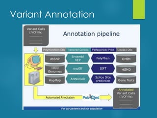 Variant Annotation
 