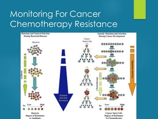 Monitoring For Cancer
Chemotherapy Resistance
 