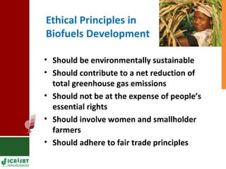 Food vs Energy: Crops for Energy