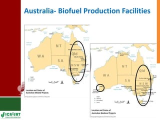 Food vs Energy: Crops for Energy