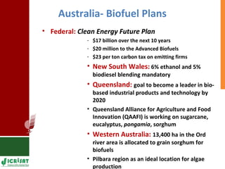 Food vs Energy: Crops for Energy