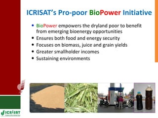 Food vs Energy: Crops for Energy