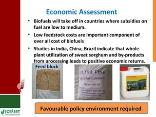 Food vs Energy: Crops for Energy