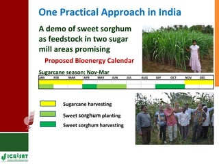 Food vs Energy: Crops for Energy