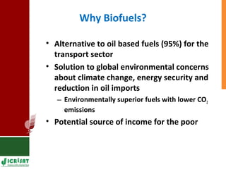 Food vs Energy: Crops for Energy
