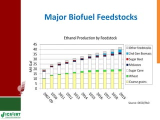 Food vs Energy: Crops for Energy