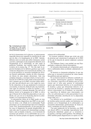 Documento descargado de http://www.revespcardiol.org el 06/11/2007. Copia para uso personal, se prohíbe la transmisión de este documento por cualquier medio o formato.




                                                                                         Conget I. Diagnóstico, clasificación y patogenia de la diabetes mellitus




                                                    Etiopatogenia de la DM 2

                                                          Genes diabetogénicos                         Factores adquiridos
                                                         – Acción insulina                            – Obesidad, distribución adiposidad
                                                         – Secreción insulina                         – Actividad física, edad, sexo, lípidos
                                                                                                      – Dieta, tabaco…
                                                        Genes relacionados con la
                                                        diabetes

                                                                                                                Fracaso
                                                                                   Aumento                célula β pancreática
                                                                               secreción insulina
                                                 Reducción sensibilidad                                                                   Glucotoxicidad
                                                      a la insulina                                                                        lipotoxicidad




                                                          Normal                                          IOG                                          DM
                                                                                                                                                     tipo 2
Fig. 1. Etiopatogenia de la diabe-
tes mellitus tipo 2. PHG: produc-                                                 Aumento PHG
ción hepática de glucosa; IOG: to-
lerancia disminuida a la glucosa.


trol de la homeostasis de la glucosa, es prácticamente                                crónicas de la enfermedad.
imposible disecar por separado la contribución de cada                                   En resumen, podemos afirmar que existe una serie
una de ellas a la etiopatogenia de la DM2. Además,                                    de premisas que caracterizan la patogenia de la DM2
debemos tener en cuenta que ambos fenómenos suelen                                    en las que la mayoría de autores empiezan a ponerse
coexistir y participan en una proporción diferente en la                              de acuerdo:
fisiopatología de la enfermedad, no sólo según la                                        – Nos hallamos frente a una entidad con una fisio-
población estudiada, sino también según el período                                    patología y traducción clínicas heterogéneas.
evolutivo de la misma (fig. 1)27. Por otro lado, la ex-                                  – Se encuentra determinada por componentes gené-
presión fenotípica de los defectos genéticos que condi-                               ticos y ambientales (dieta occidental, sedentarismo, et-
cionan las alteraciones en la secreción de insulina y en                              cétera).
su acción periférica se encuentra modulada por diver-                                    – Su herencia es claramente poligénica, lo que sig-
sos factores ambientales, muchos de ellos consecuen-                                  nifica que es necesaria la presencia de varias anoma-
cia directa de estas propias alteraciones. Ante esta                                  lias genéticas para que aparezca.
compleja situación, y con buen criterio, la nueva clasi-                                 – En su historia natural no debemos confundir en-
ficación de la DM de la ADA elude la discusión bizan-                                 tre aquellos determinantes genéticos diabetogéni-
tina y propone que en la DM2 coexisten ambos defec-                                   cos: esenciales, específicos de diabetes pero no sufi-
tos, pero que prevalecerá uno u otro según los casos.                                 cientes por sí solos para generar la enfermedad
En las situaciones en las que predomina la resistencia                                (genes que determinan defectos en la sensibilidad a
a la insulina, la masa de células β sufre una trasforma-                              la insulina y genes que determinan defectos en la
ción capaz de aumentar su oferta de insulina y com-                                   secreción de insulina) y aquellos determinantes ge-
pensar la excesiva y anómala demanda. Sea cual sea el                                 néticos relacionados con la diabetes: no esenciales,
defecto inicial en la patogenia de la DM2, es obvio                                   no específicos de diabetes pero relacionados con
que el fracaso de la célula beta pancreática es una con-                              ella y no suficientes por sí solos para producir la en-
dición sine qua non en el desarrollo final de la enfer-                               fermedad (obesidad, distribución de la adiposidad,
medad y en su presentación clínica28-30.                                              longevidad, etc.).
   La presentación clínica de la DM2 puede ser muy                                       – Los defectos en la sensibilidad y en la secreción
diversa. Podemos diagnosticar una DM2 en una analí-                                   de insulina suelen coexistir, ambos son fenómenos im-
tica de rutina o de cribado de la enfermedad. Puede                                   portantes en la fisiopatología de la enfermedad y se
presentarse con la sintomatología típica de la hiperglu-                              encuentran determinados genéticamente de forma di-
cemia. Pero, desafortunadamente, en una gran parte de                                 recta y modulados por factores adquiridos.
los casos el diagnóstico ha pasado desapercibido du-                                     – Una gran proporción de los pacientes con DM2
rante años ante la ausencia de sintomatología acompa-                                 son obesos (80%) y la obesidad, especialmente la de
ñante y ante su tórpida evolución, y en el momento de                                 localización abdominal, genera per se resistencia a
reconocer por primera vez la enfermedad son ya evi-                                   la insulina y está bajo control genético. Sin embargo, la
dentes las lesiones propias de algunas complicaciones                                 DM2 también puede diagnosticarse en sujetos no obe-
123                                                                                                             Rev Esp Cardiol 2002;55(5):528-35              533
 