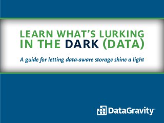Learn what’s lurking
in the dark (data)
A guide for letting data-aware storage shine a light
 